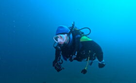 ダイブテリーズ