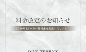 ダイブテリーズ