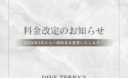 ダイブテリーズ