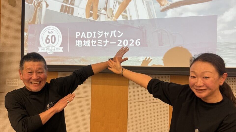 ダイブテリーズ