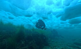 ダイブテリーズ