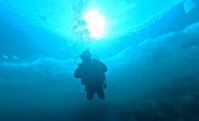 ダイブテリーズ