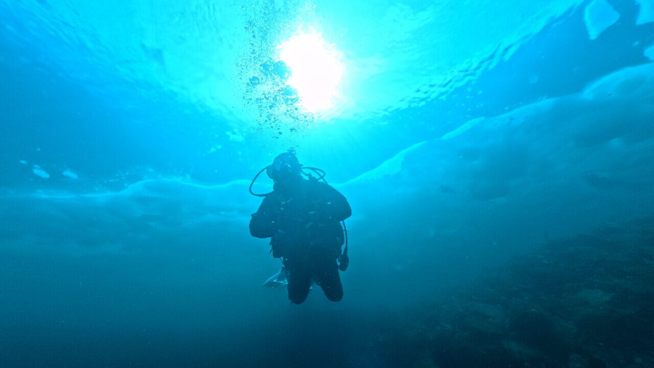 ダイブテリーズ