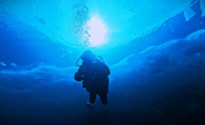 ダイブテリーズ