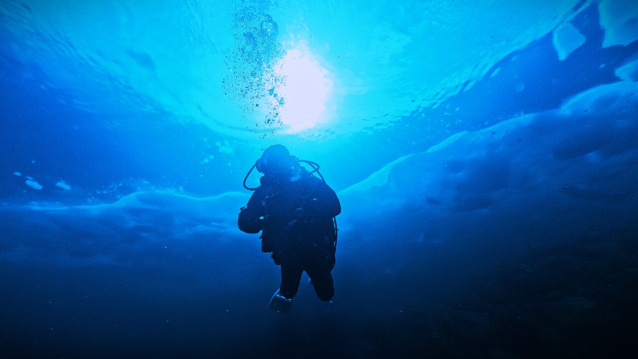 ダイブテリーズ