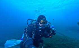 ダイブテリーズ