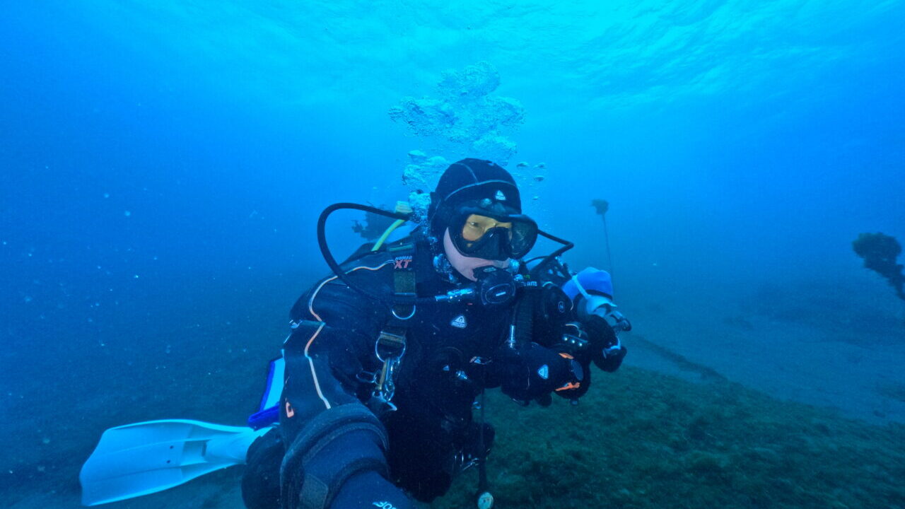 ダイブテリーズ