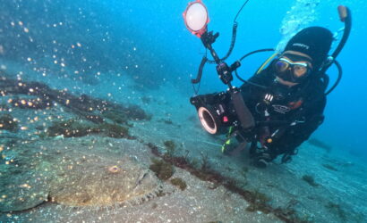 ダイブテリーズ