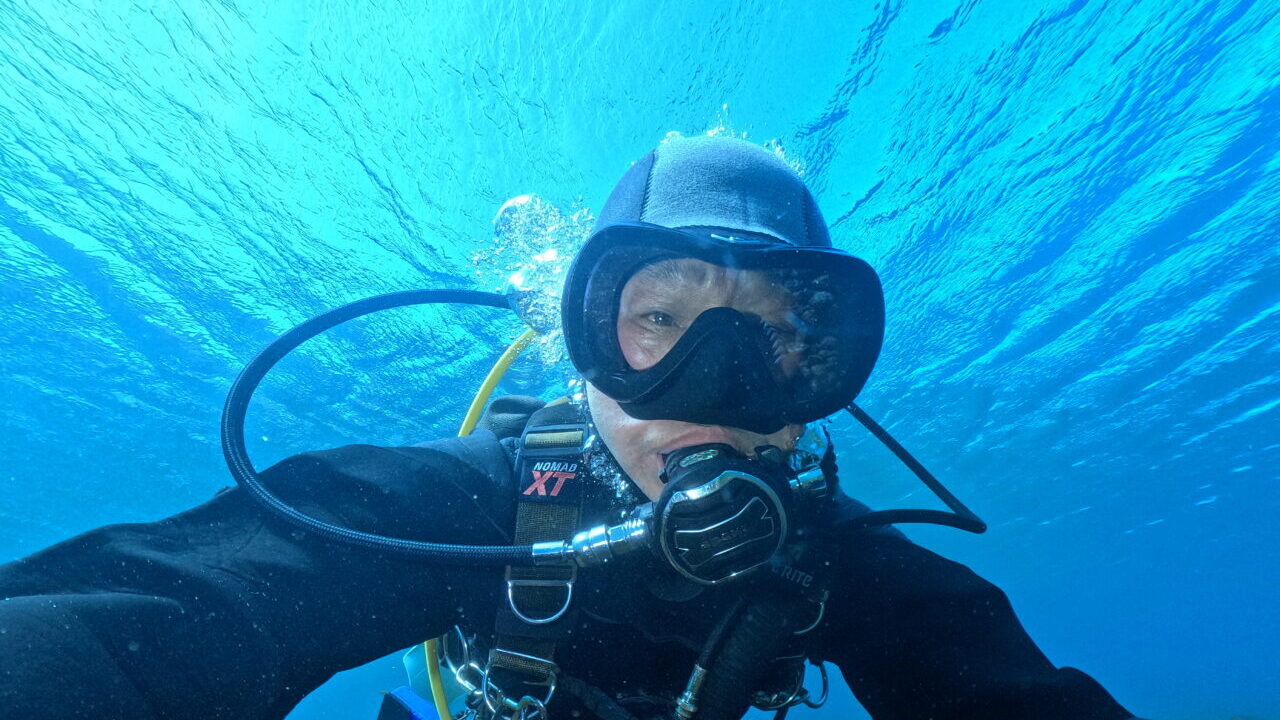 ダイブテリーズ