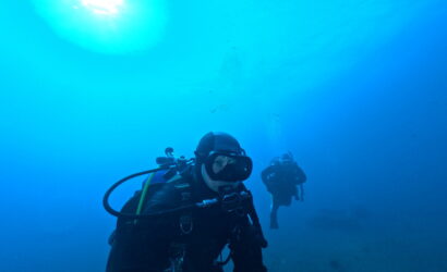 ダイブテリーズ