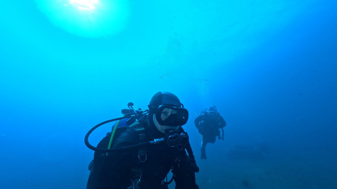 ダイブテリーズ