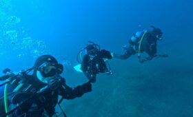 ダイブテリーズ