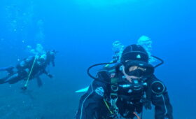 ダイブテリーズ