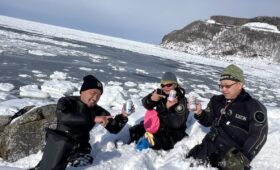 ダイブテリーズ