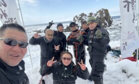 ダイブテリーズ