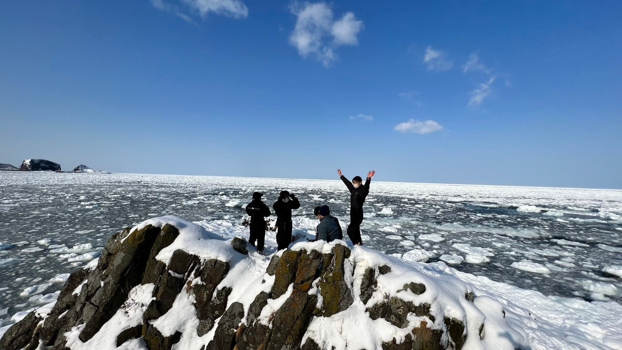 ダイブテリーズ