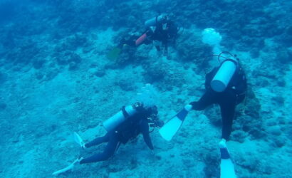 ダイブテリーズ