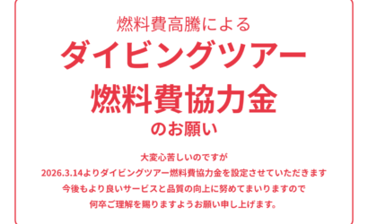 ダイブテリーズ