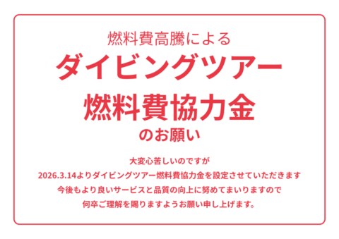 ダイブテリーズ