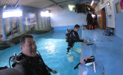 ダイブテリーズ