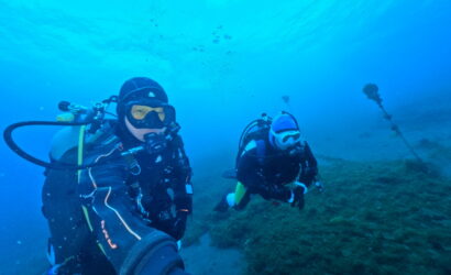 ダイブテリーズ