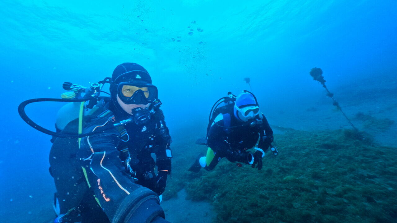 ダイブテリーズ