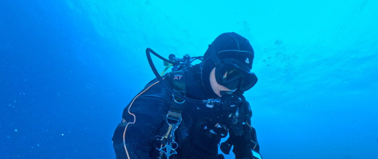 ダイブテリーズ