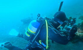 ダイブテリーズ