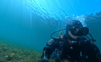 ダイブテリーズ