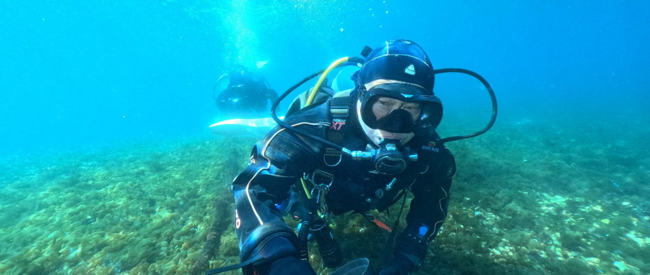 ダイブテリーズ