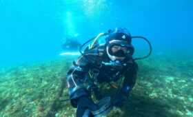 ダイブテリーズ