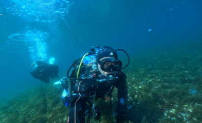 ダイブテリーズ