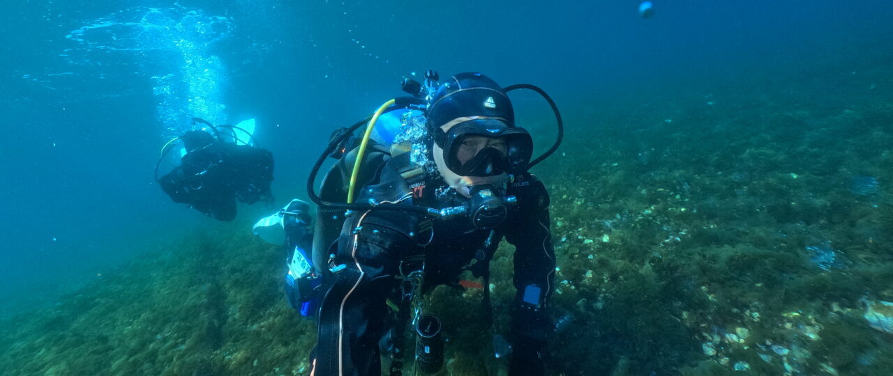 ダイブテリーズ