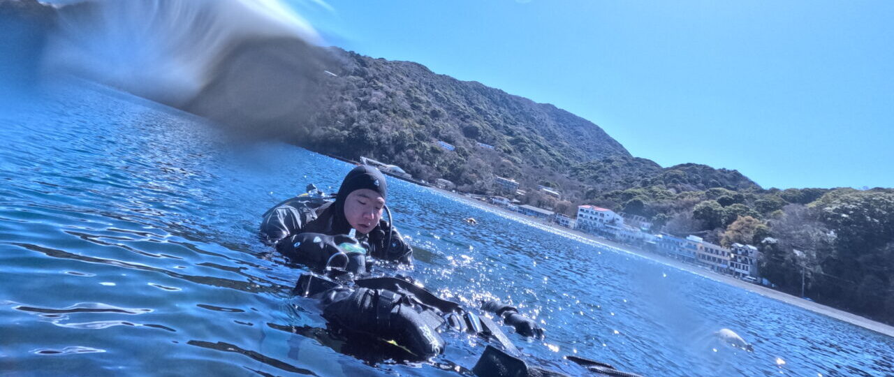 ダイブテリーズ