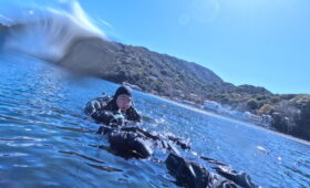 ダイブテリーズ