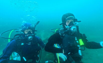 ダイブテリーズ