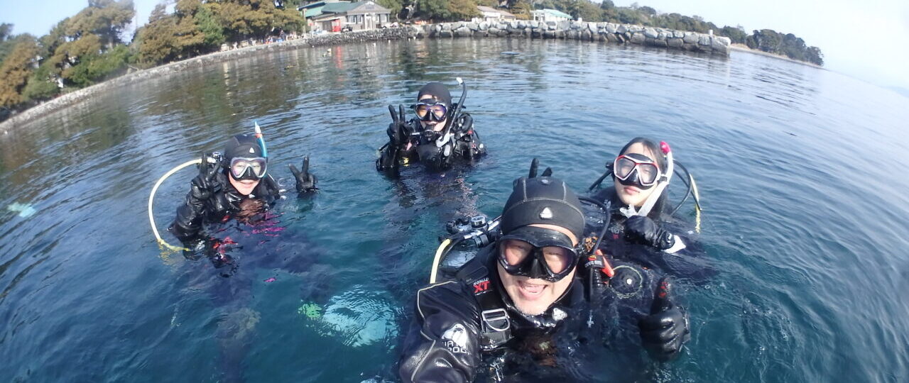 ダイブテリーズ