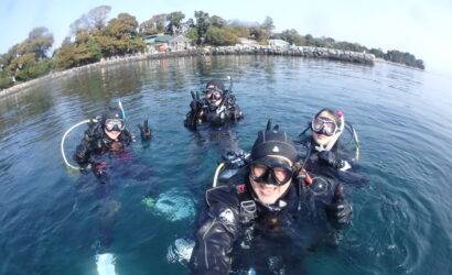 ダイブテリーズ