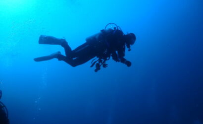 ダイブテリーズ