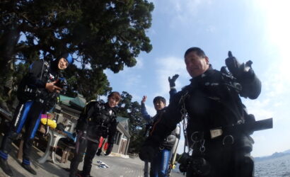 ダイブテリーズ