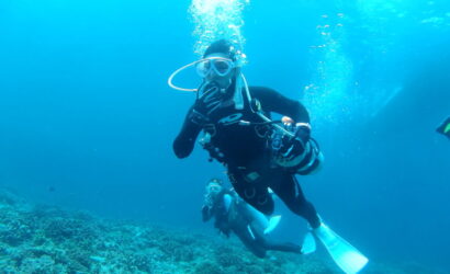 ダイブテリーズ