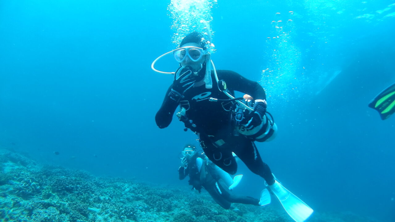 ダイブテリーズ