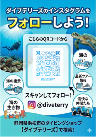 ダイブテリーズ