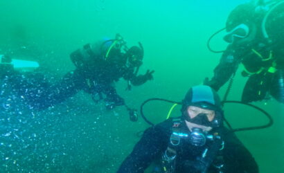 ダイブテリーズ