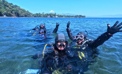 ダイブテリーズ