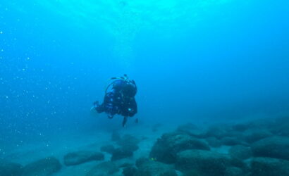 ダイブテリーズ