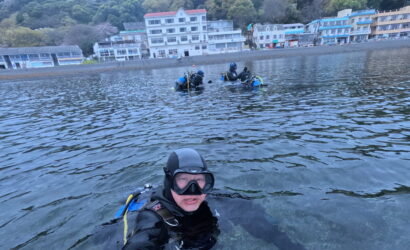 ダイブテリーズ