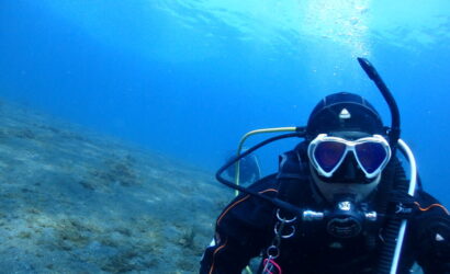 ダイブテリーズ