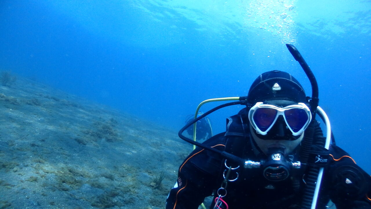 ダイブテリーズ