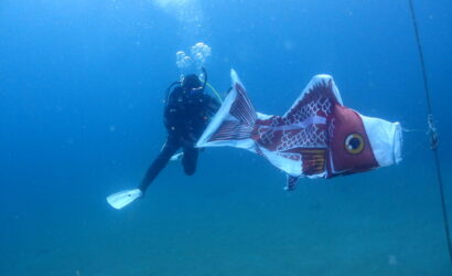 ダイブテリーズ